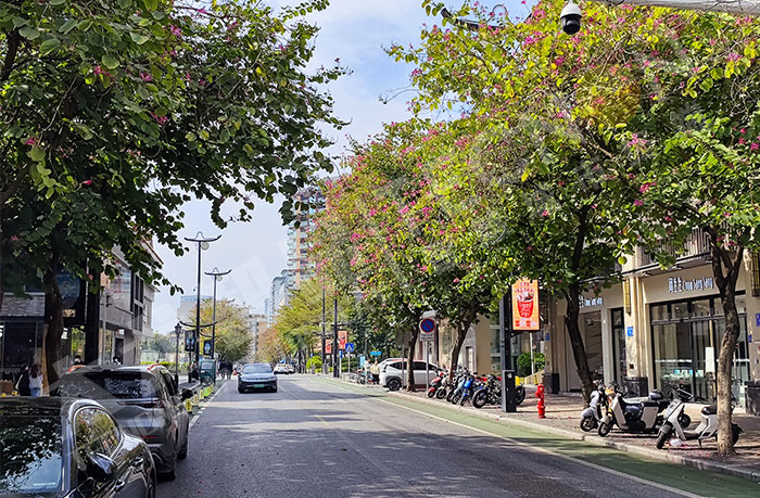 智慧路燈,燈杆屏